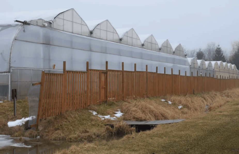 Weeding out issues in the medical marijuana&nbsp;industry