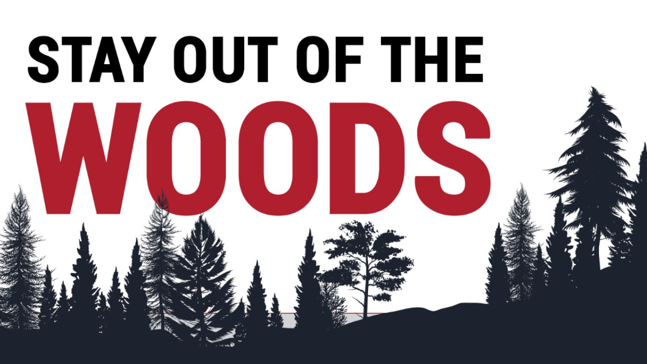 You can’t take a walk in the woods in Canada anymore? New Brunswick Premier says the quiet part out&nbsp;loud